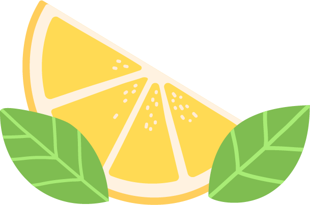 lemonade lombok project example
